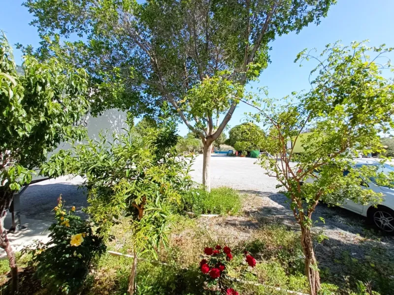INDEPENDENT VILLA OF 500M2 - LAND OF 10,000M2 NEXT TO BONALBA - MUCHAMIEL