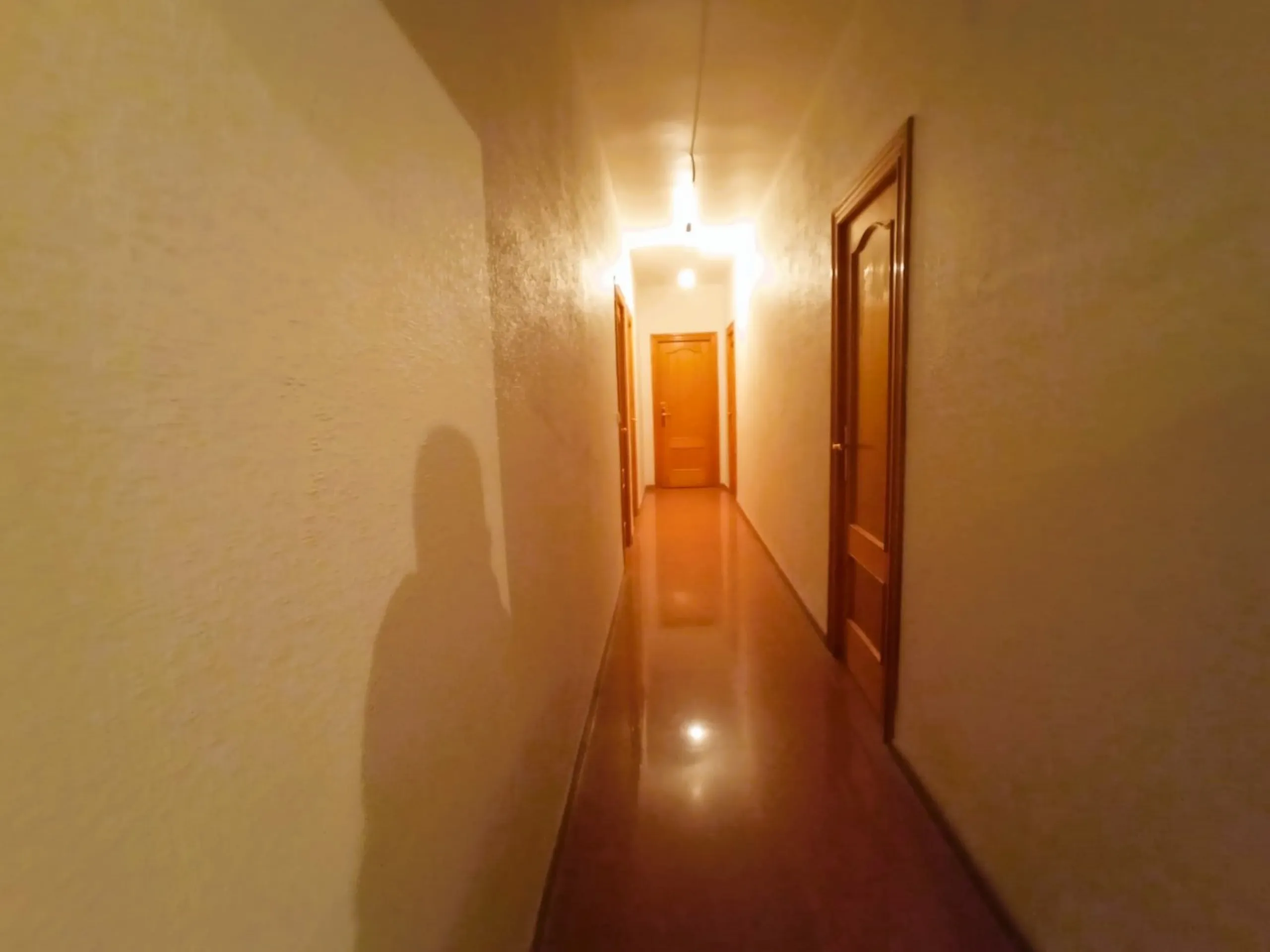 INDEPENDENT VILLA OF 500M2 - LAND OF 10,000M2 NEXT TO BONALBA - MUCHAMIEL