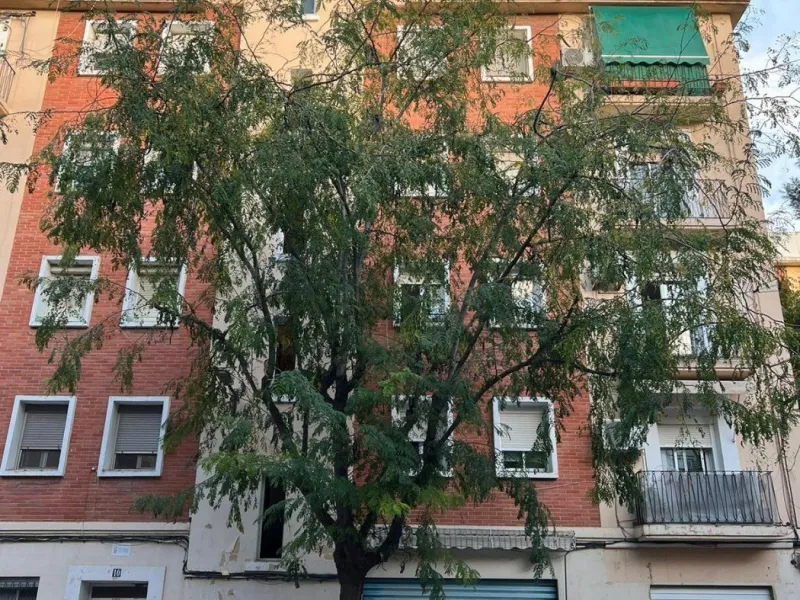 🏡 Квартира в аренду | L’Olivereta, Valencia