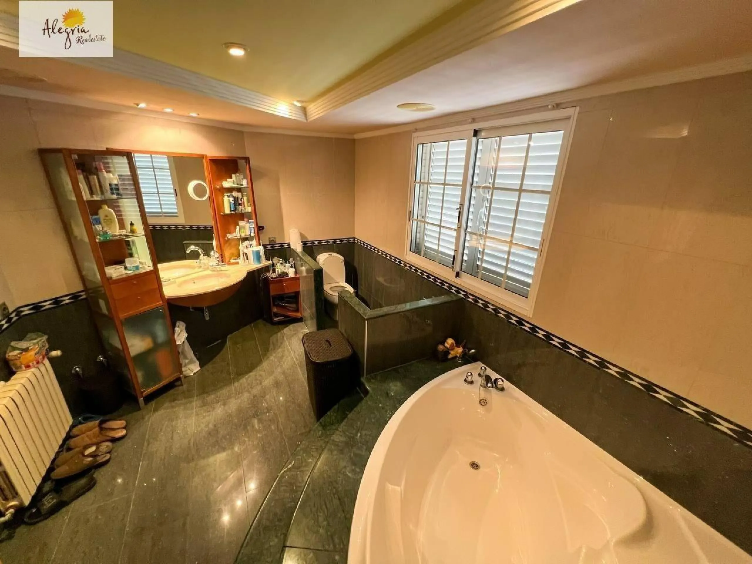 LUXURY VILLA IN VALENCIA