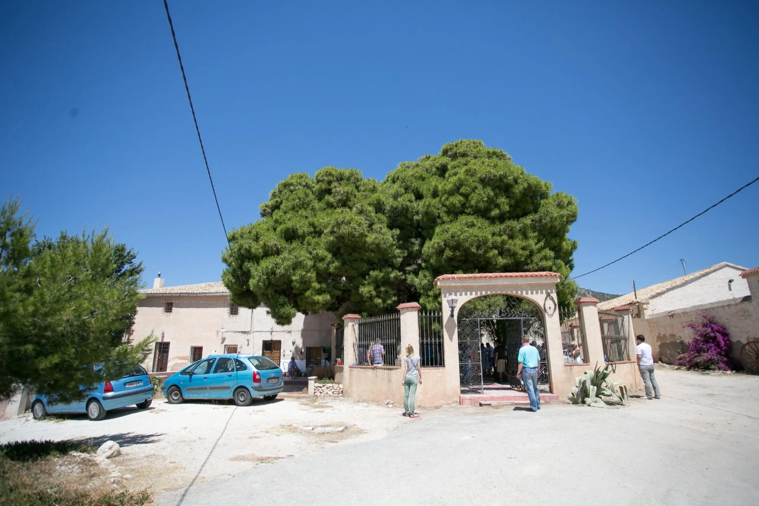 Bodega en venta en Alicante, El Pinoso