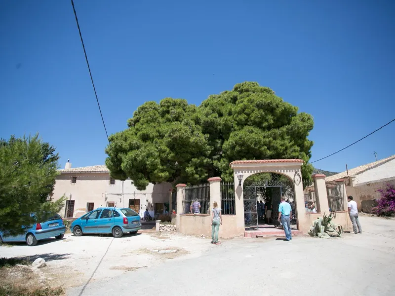 Bodega en venta en Alicante, El Pinoso