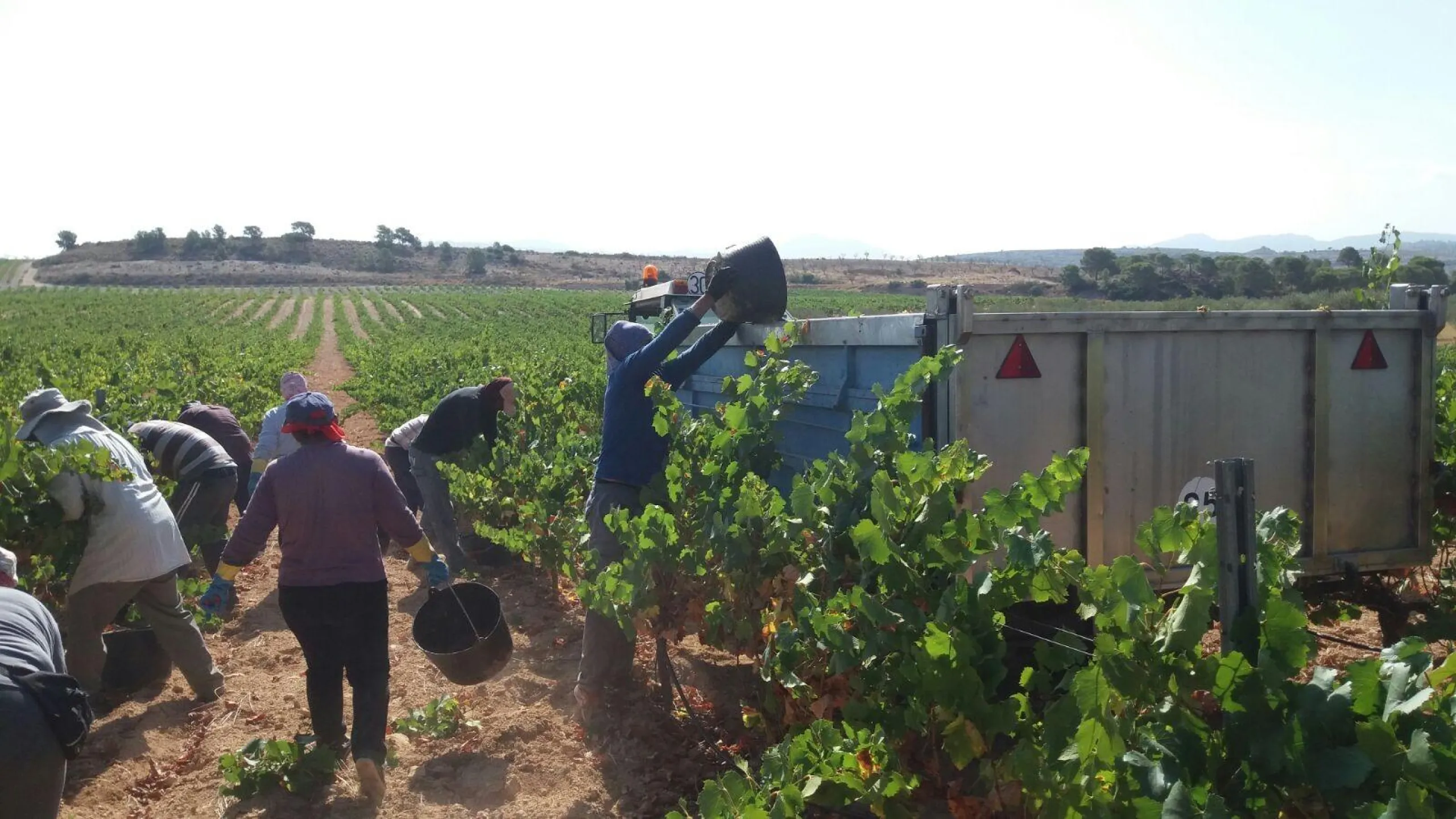 Bodega en venta en Alicante, El Pinoso