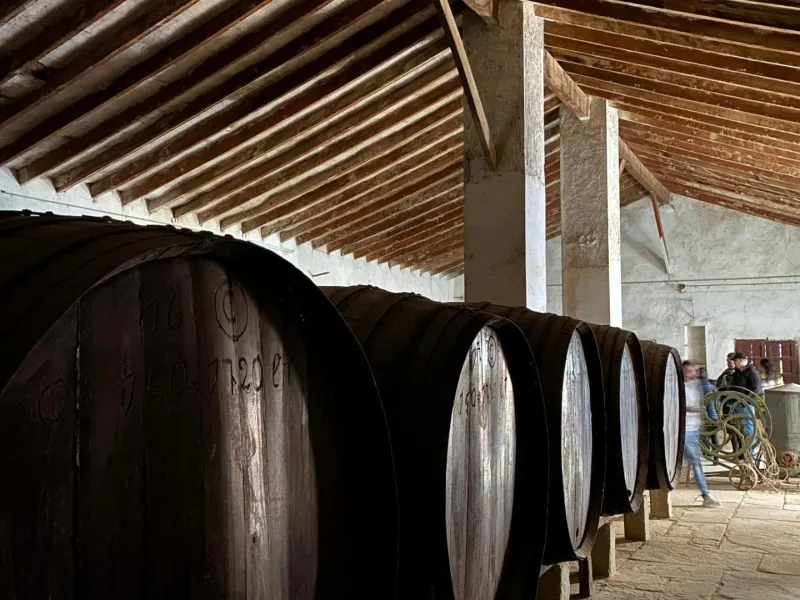 Bodega en venta en Alicante, El Pinoso