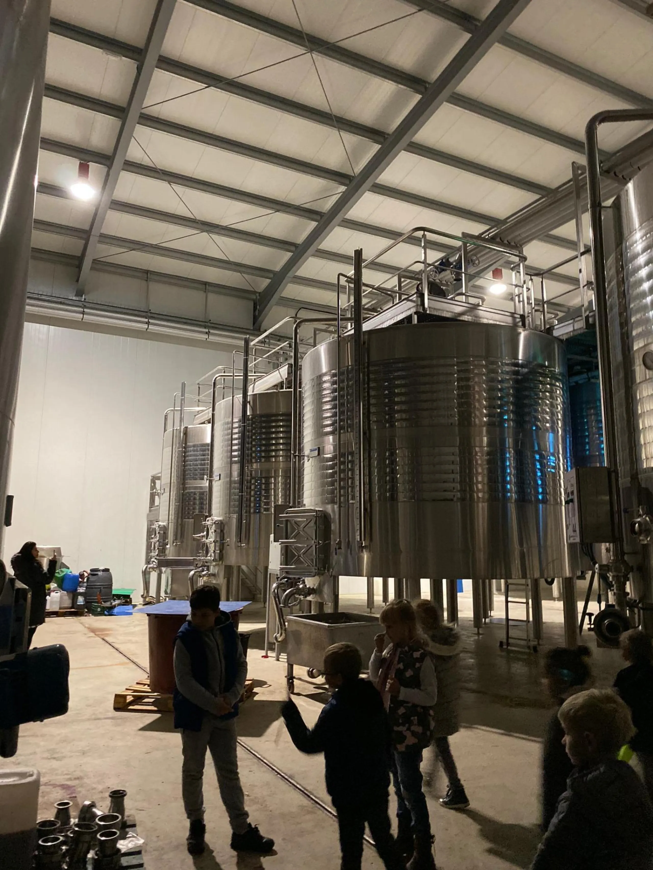Bodega en venta en Alicante, El Pinoso