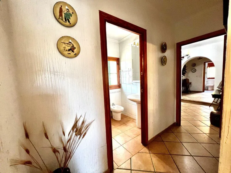 Chalet con 1000 metros de terreno en la zona Sol y Luz de San Vicente del Raspeig, Alicante