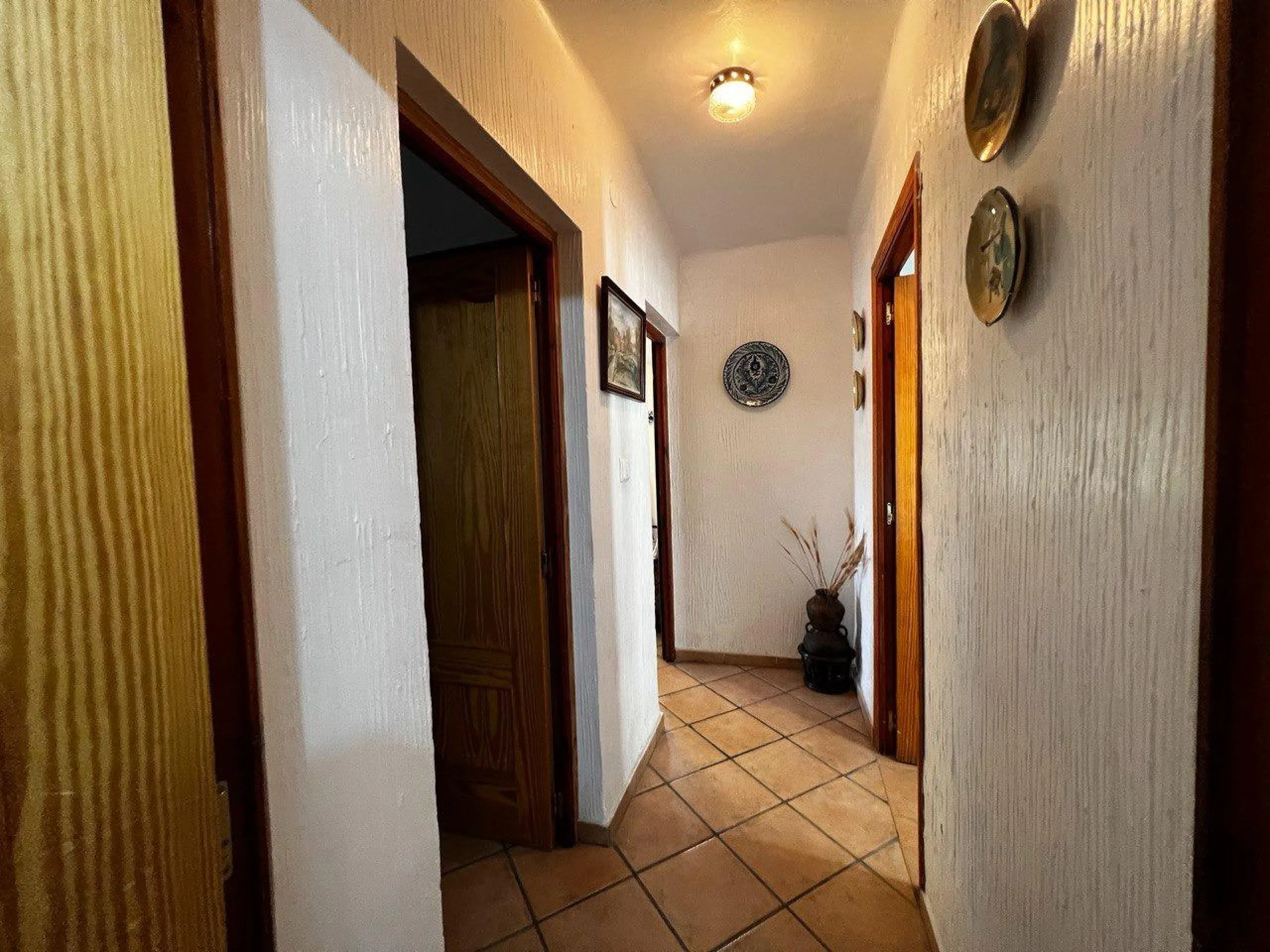 Chalet con 1000 metros de terreno en la zona Sol y Luz de San Vicente del Raspeig, Alicante