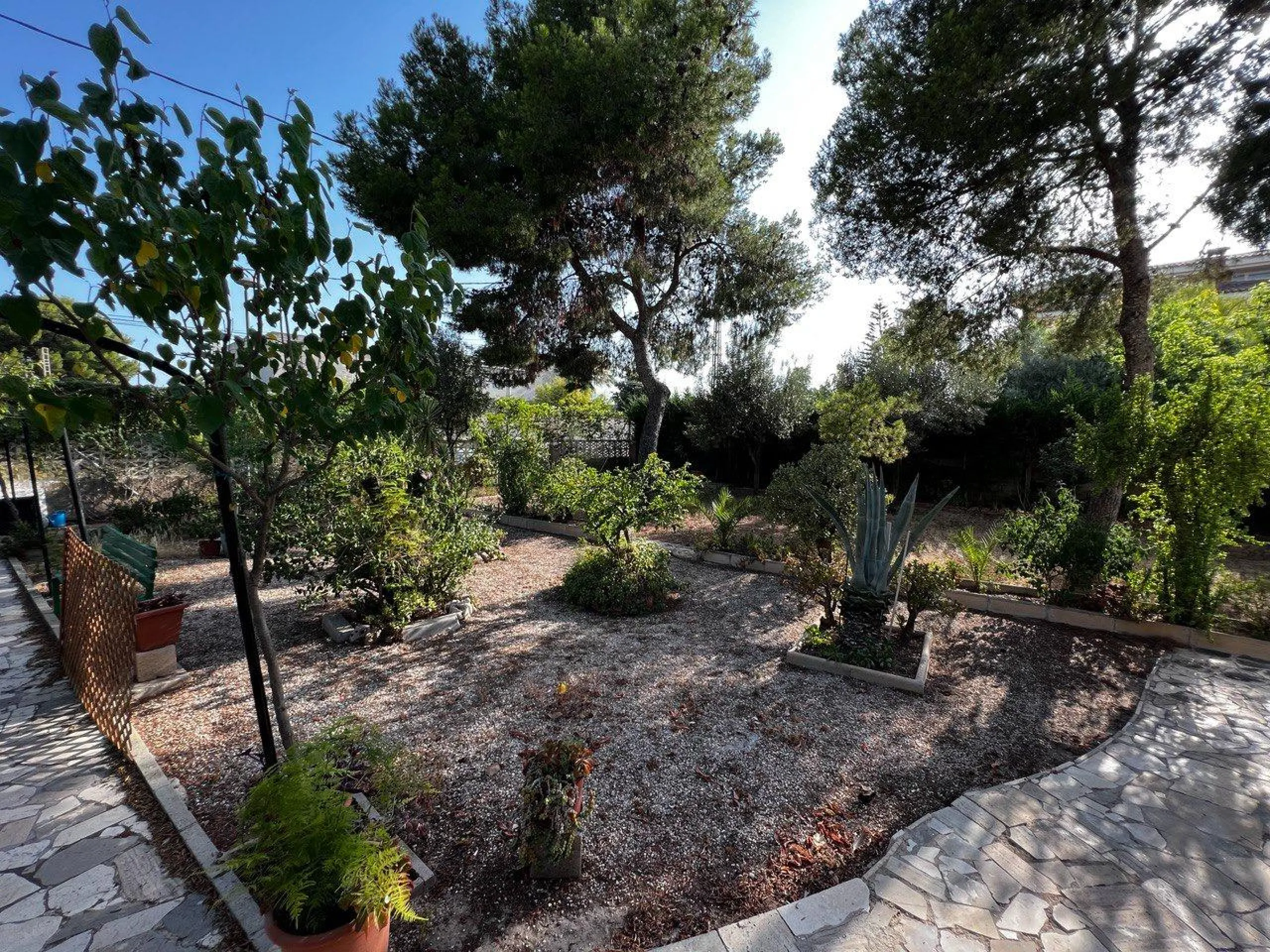 Chalet con 1000 metros de terreno en la zona Sol y Luz de San Vicente del Raspeig, Alicante
