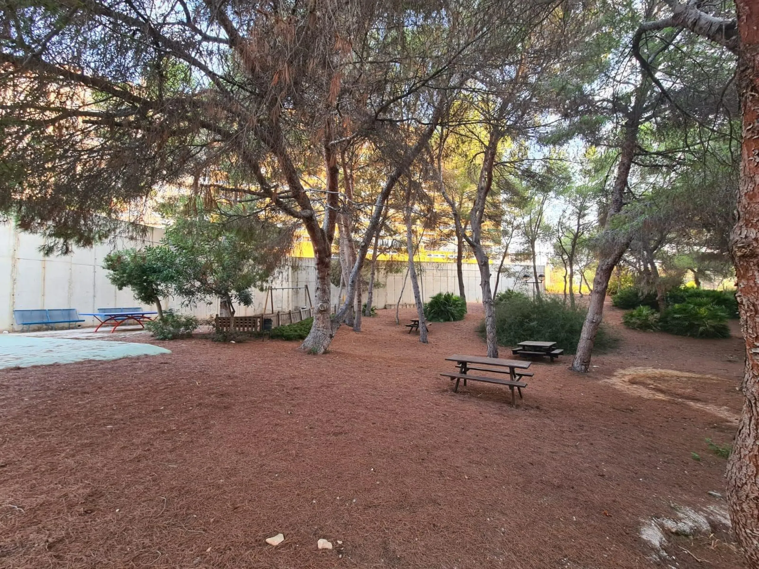 WITH TOURIST LICENSE. 3 BEDROOMS. 2 BATHROOMS. COMMUNAL SWIMMING POOL. BEACH 800 M