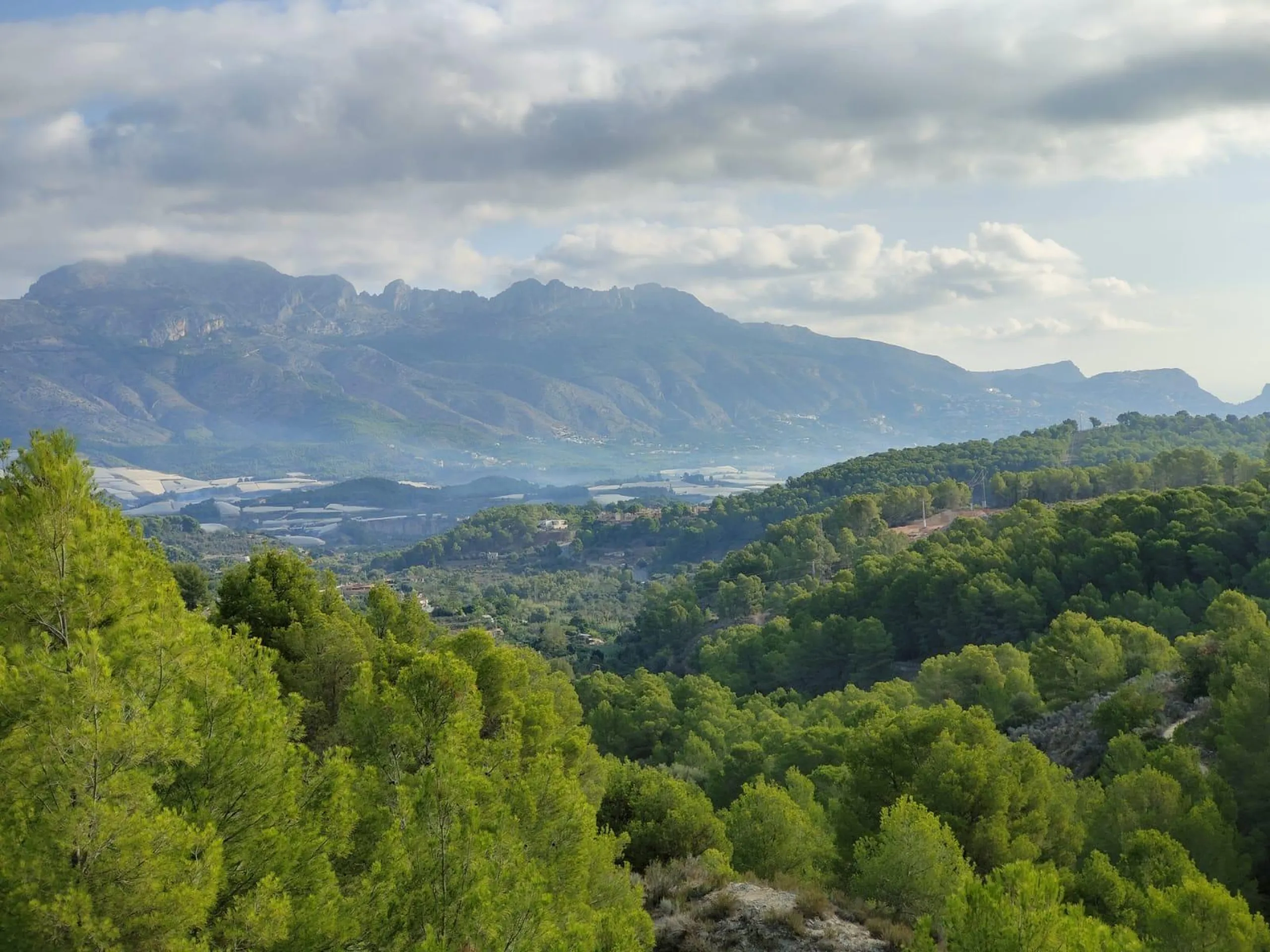 DETACHED VILLA, SPACIOUS WITH PRIVACY IN A NATURAL ENVIRONMENT IN LA NUCIA