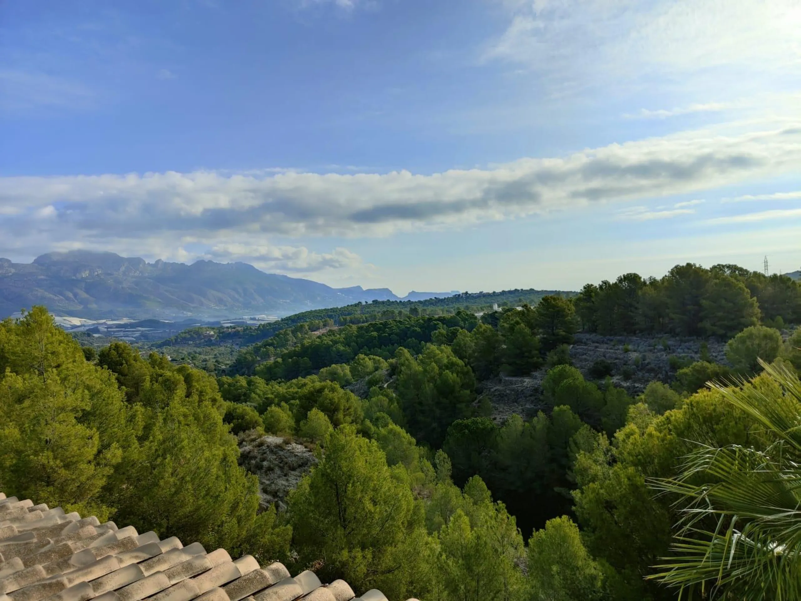 DETACHED VILLA, SPACIOUS WITH PRIVACY IN A NATURAL ENVIRONMENT IN LA NUCIA