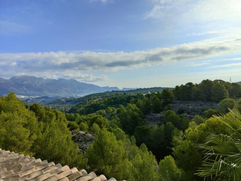 DETACHED VILLA, SPACIOUS WITH PRIVACY IN A NATURAL ENVIRONMENT IN LA NUCIA