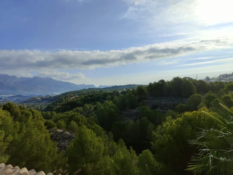 DETACHED VILLA, SPACIOUS WITH PRIVACY IN A NATURAL ENVIRONMENT IN LA NUCIA