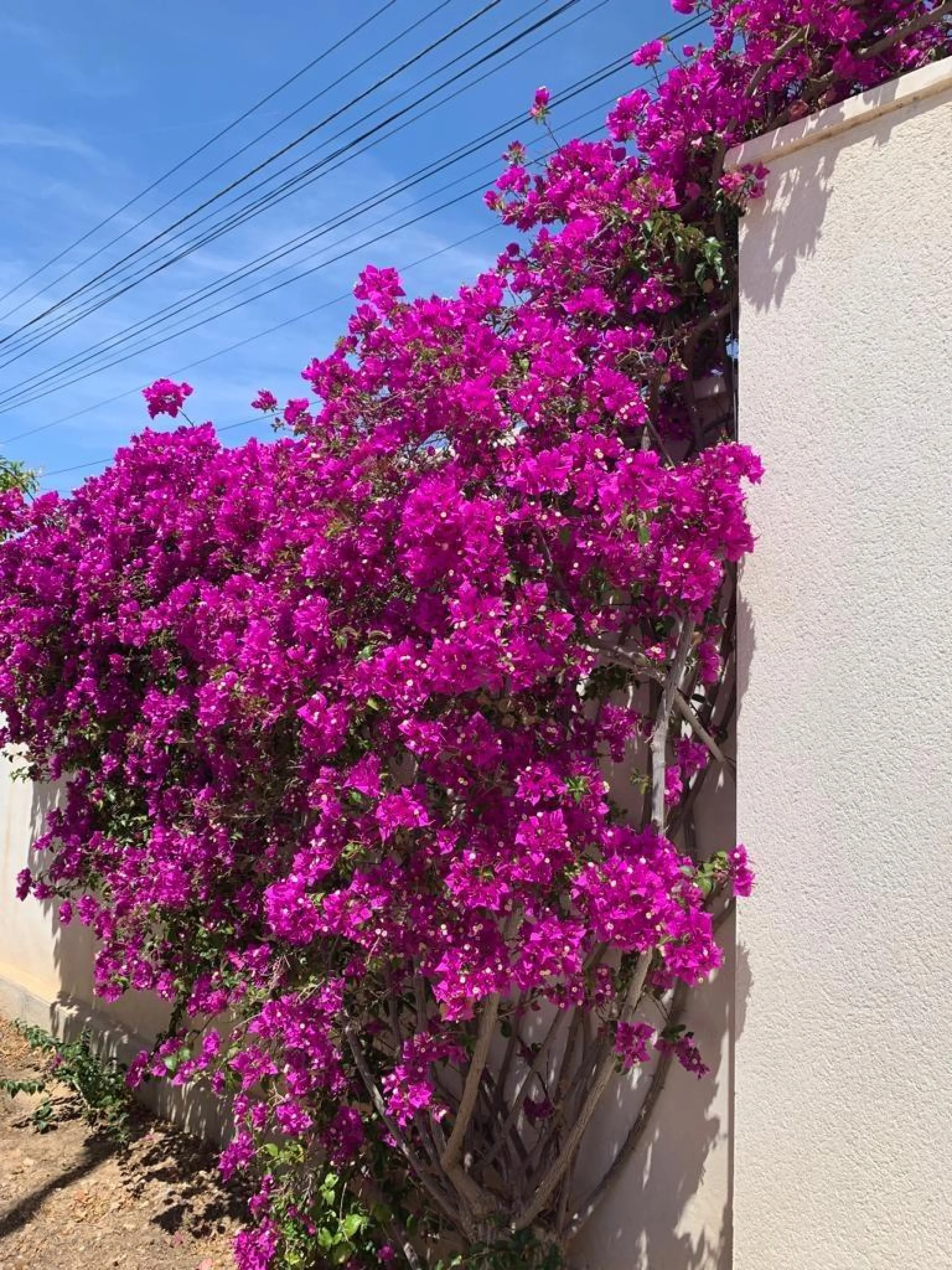 Espectacular Villa en Ciudad Quesada zona Rojales con piscina propia y vistas despejadas