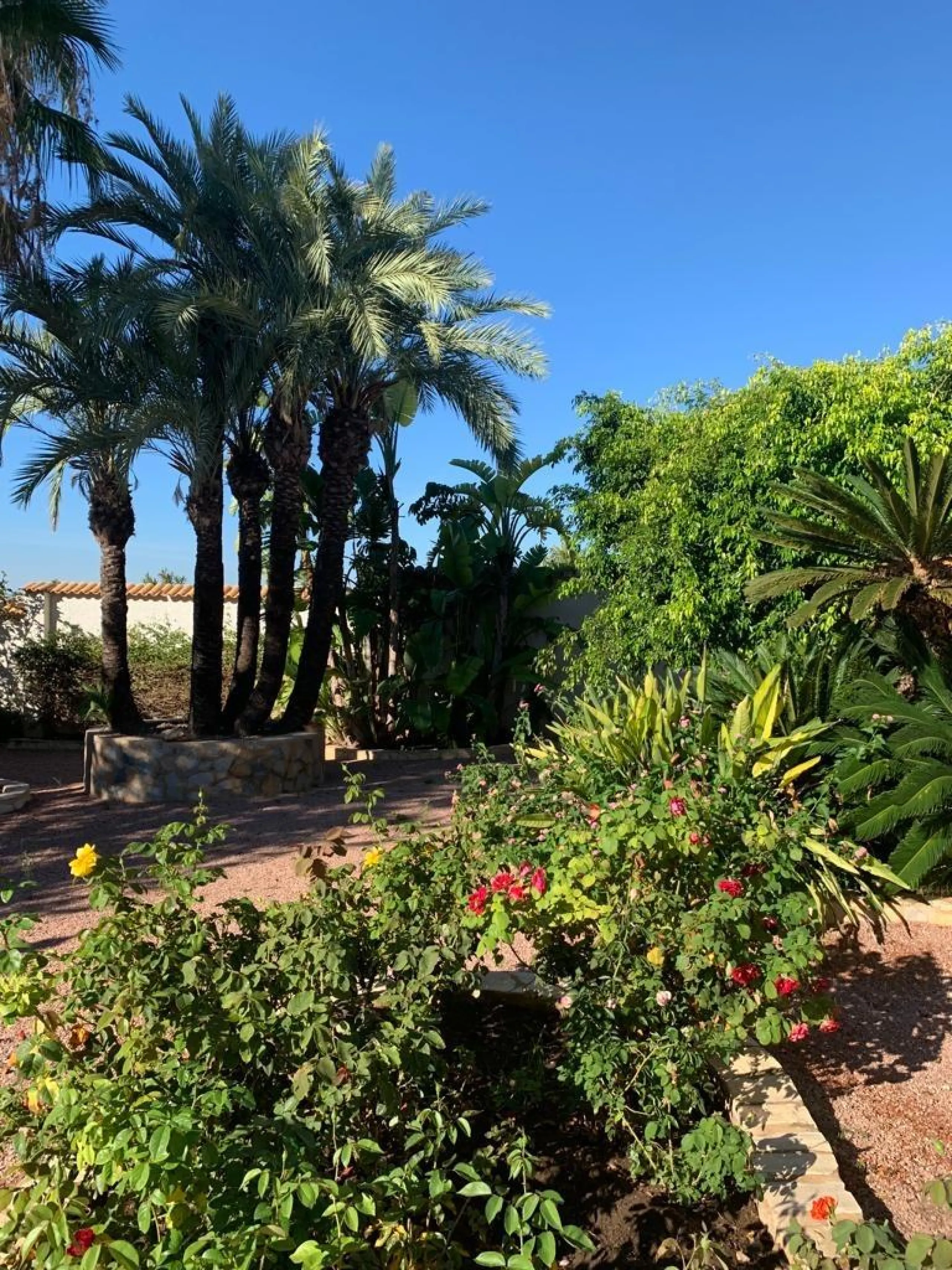 Espectacular Villa en Ciudad Quesada zona Rojales con piscina propia y vistas despejadas