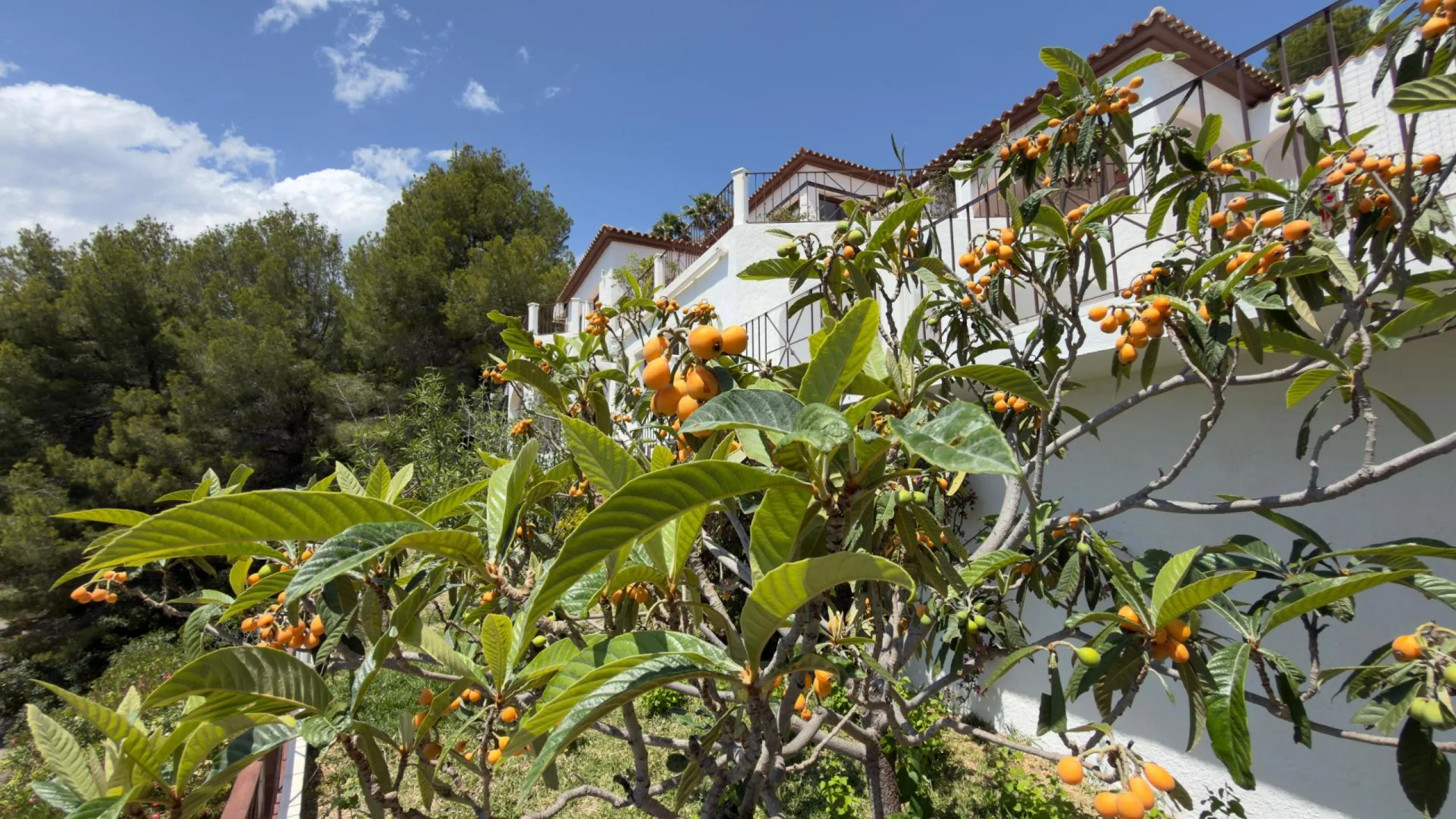 Elegant Luxury in Altea La Vella