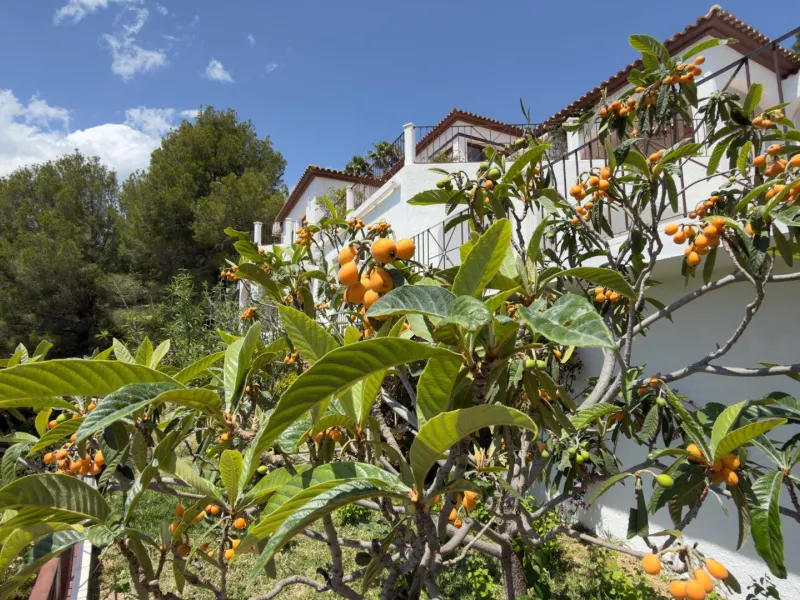 Elegant Luxury in Altea La Vella
