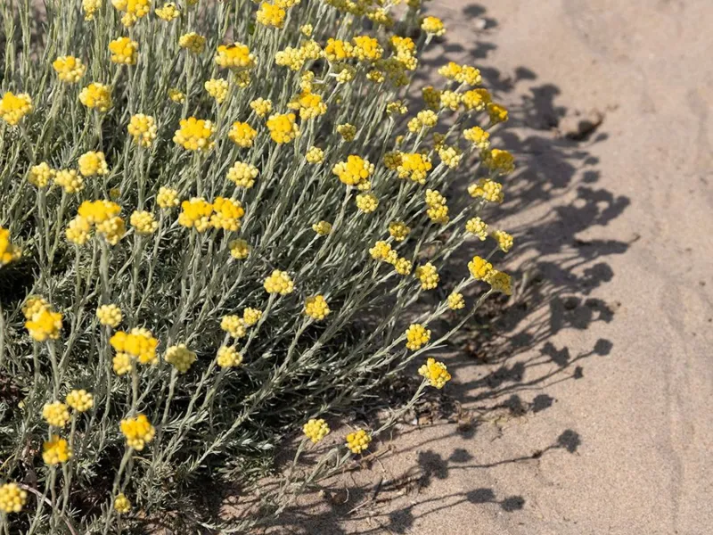 Sea View Apartment with Terrace in Gavà Mar – Beachfront