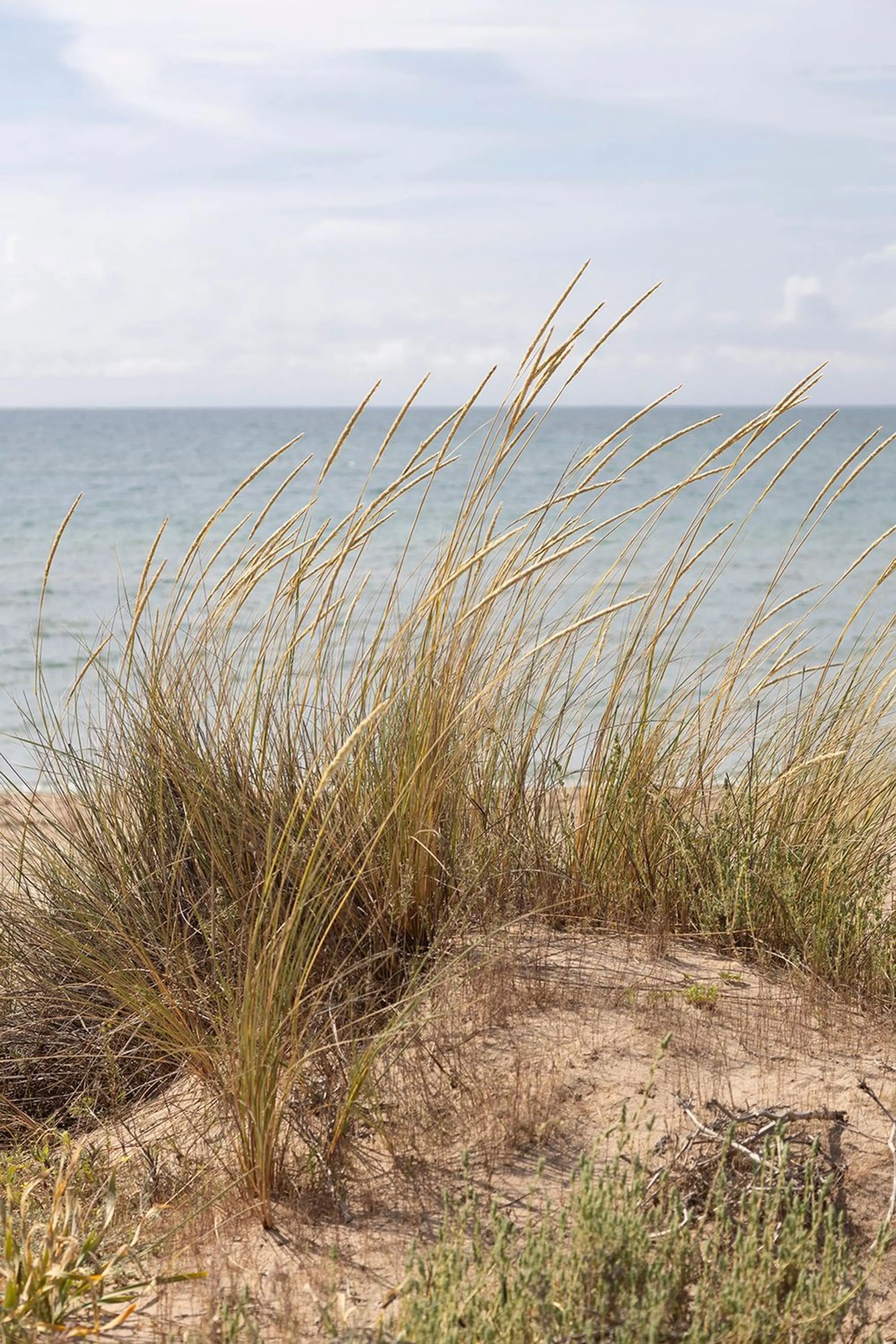 Piso con vistas al mar y terraza en Gava Mar – Primera línea de playa
