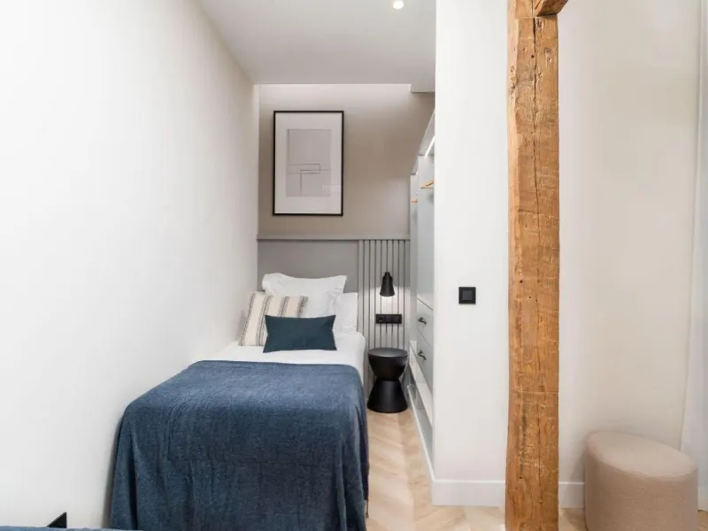 LUXURIOUS FULLY RENOVATED APARTMENT IN MADRID CENTER