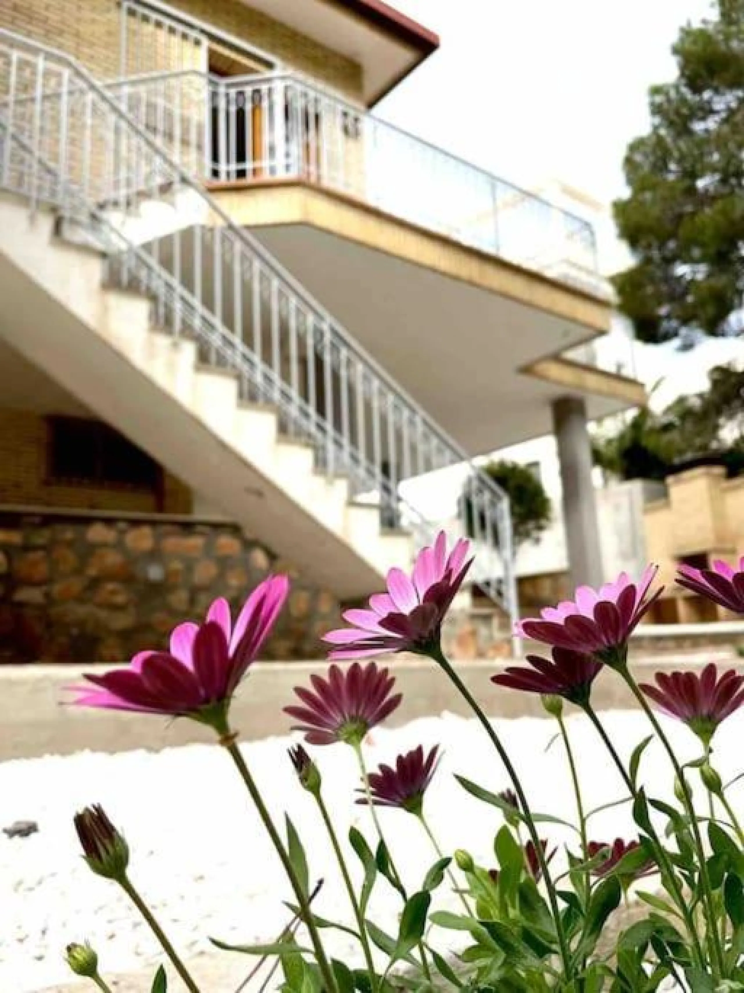 VILLA EN ORIHUELA COSTA A 500 METROS DE LA PLAYA. 4 DORM. 3 BAÑOS. PARCELA 1.145M2.