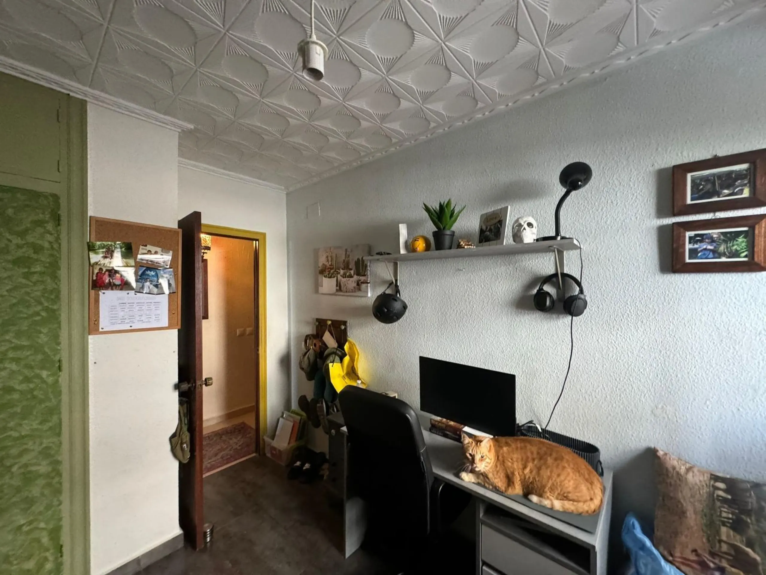 Apartment in San Miguel de Salinas with unobstructed views in the center