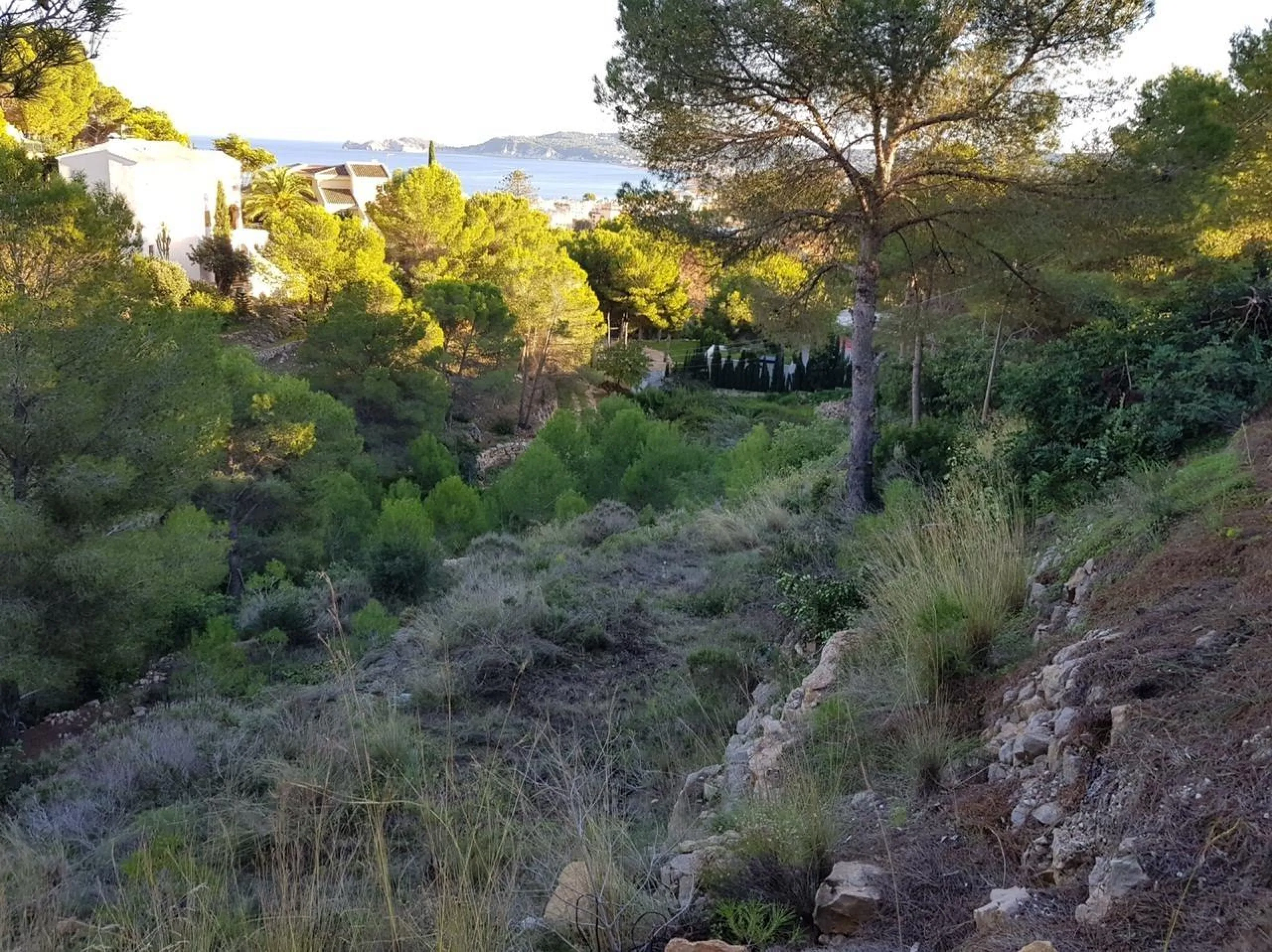 Un terreno urbano con vistas al mar