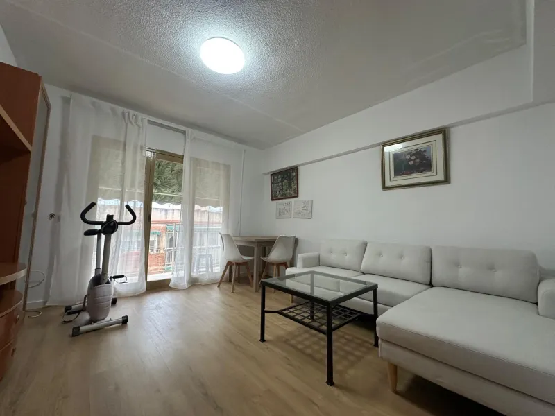 Apartments for investment in Alicante