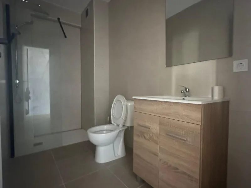 Apartments for investment in Alicante