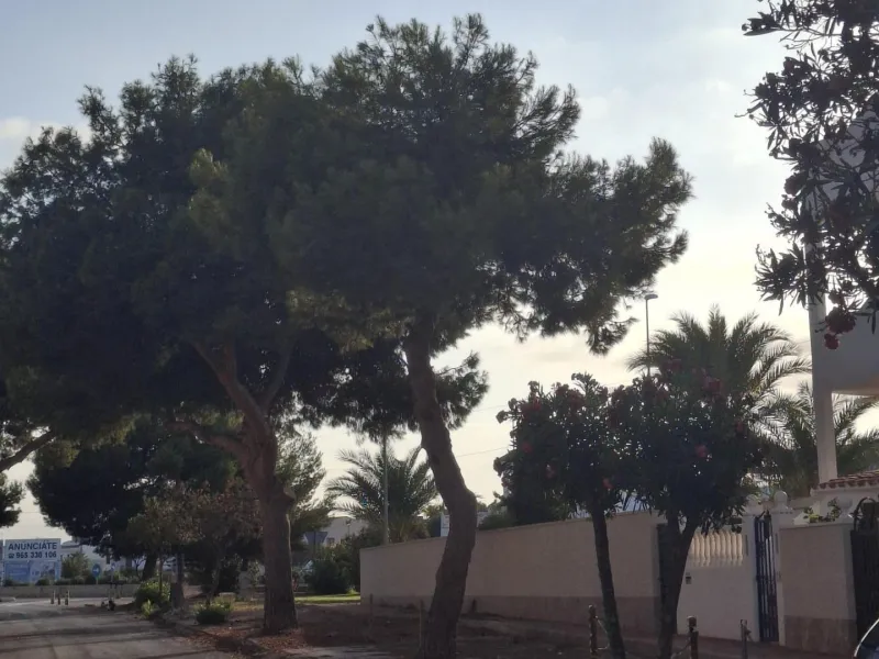 Espectacular Ático en La Zenia, Orihuela Costa - Vistas al Mar y a Pasos de la Playa