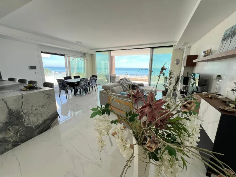 Spectacular Beachfront VILLA, LA MATA