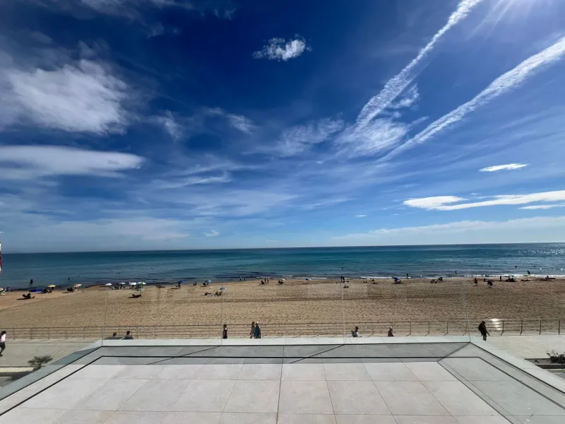 Spectacular Beachfront VILLA, LA MATA