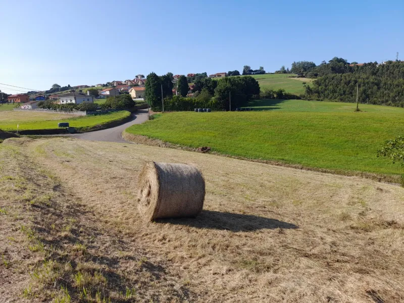 Oportunidad de Inversión: Terreno Urbano en Gozón, San Martin de Podes