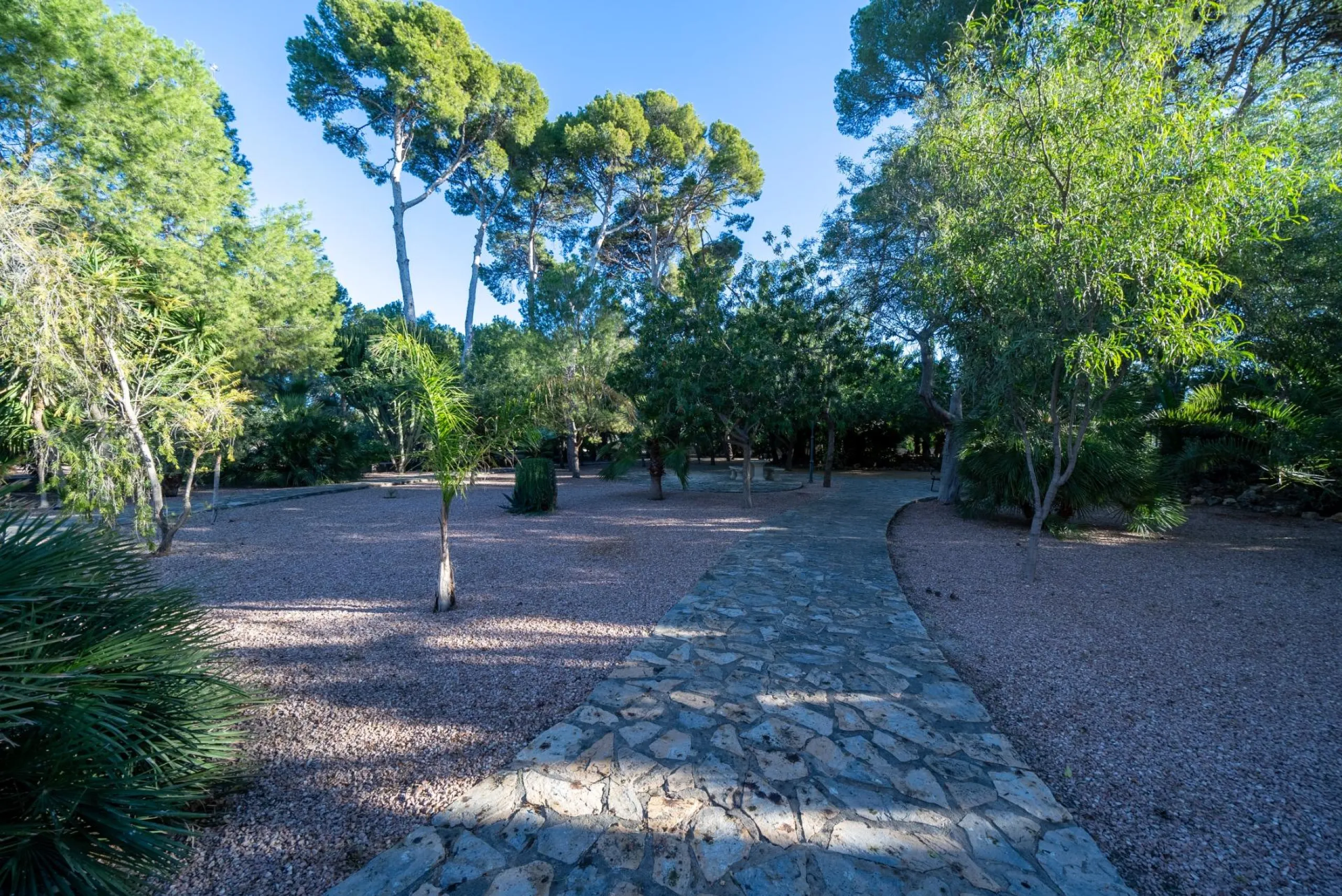 Rustic Oasis: Large House with Land All the Amenities