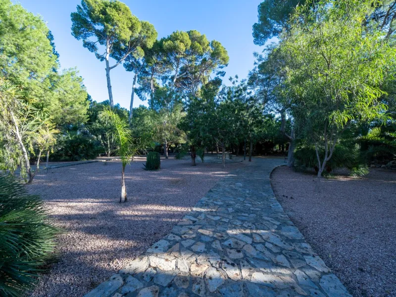 Rustic Oasis: Large House with Land All the Amenities