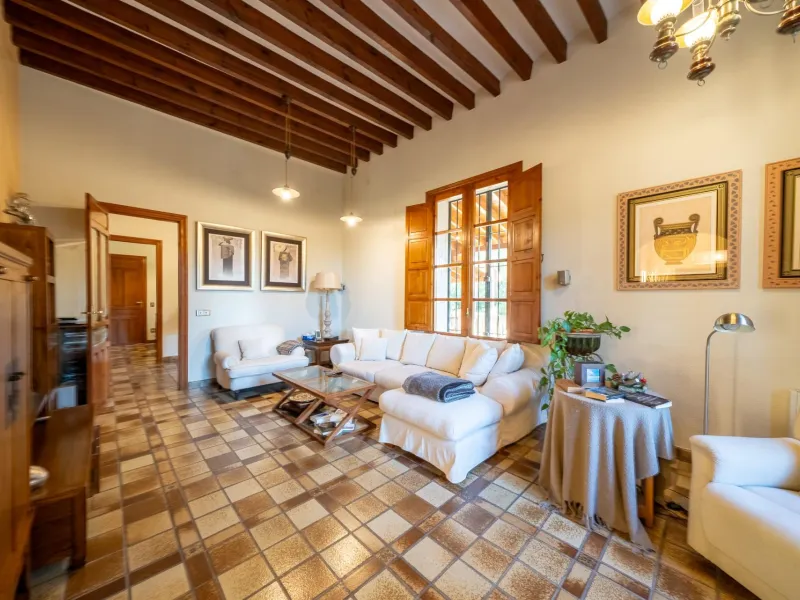Rustic Oasis: Large House with Land All the Amenities