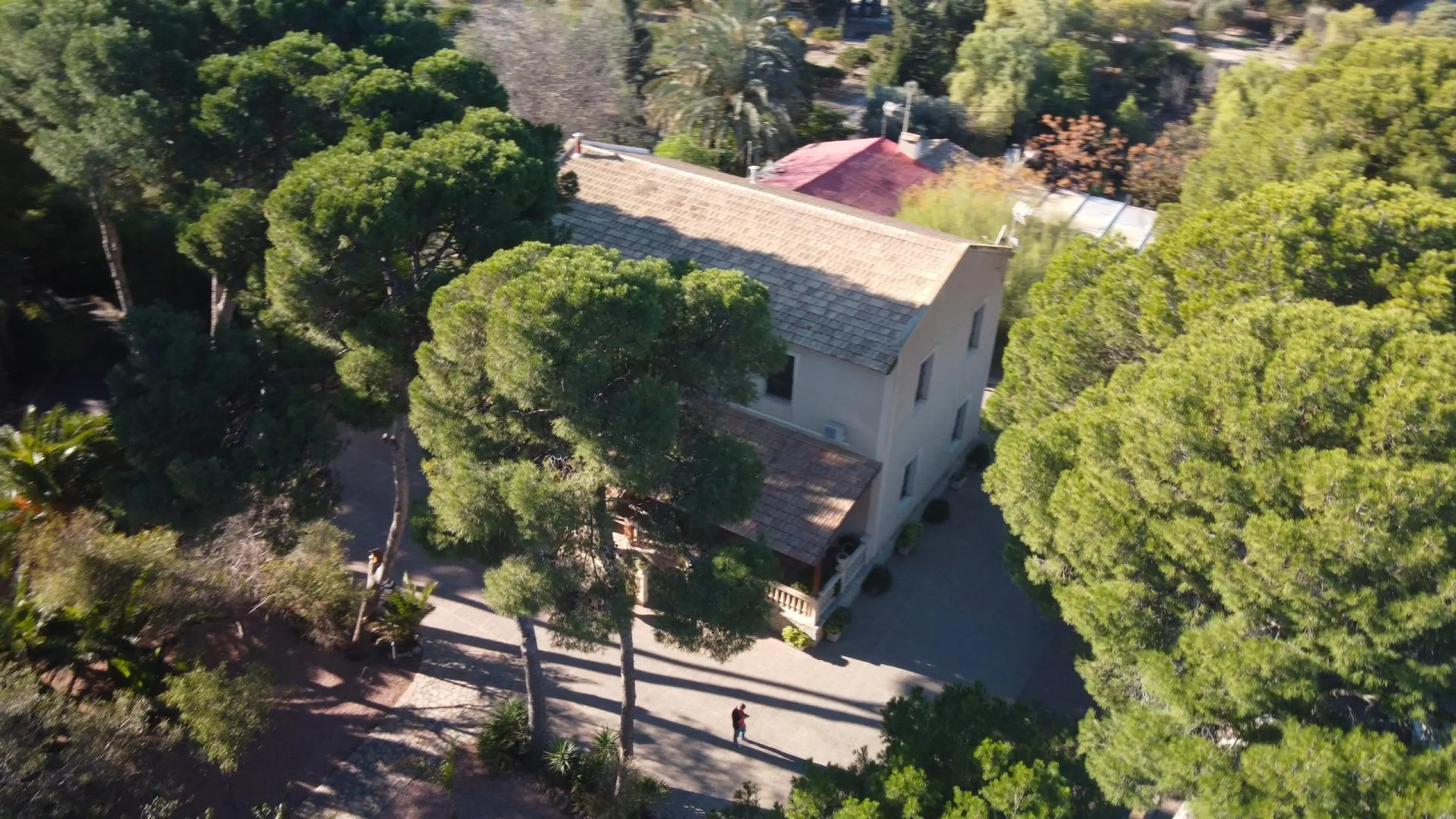 Rustic Oasis: Large House with Land All the Amenities