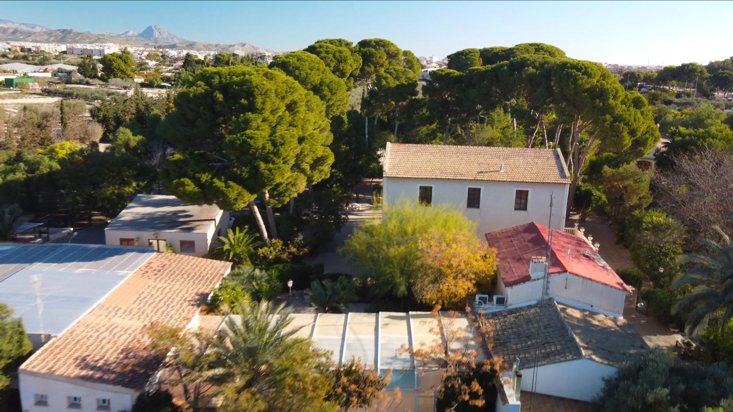 Rustic Oasis: Large House with Land All the Amenities