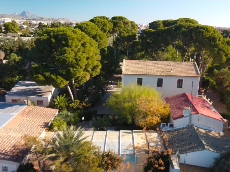 Rustic Oasis: Large House with Land All the Amenities