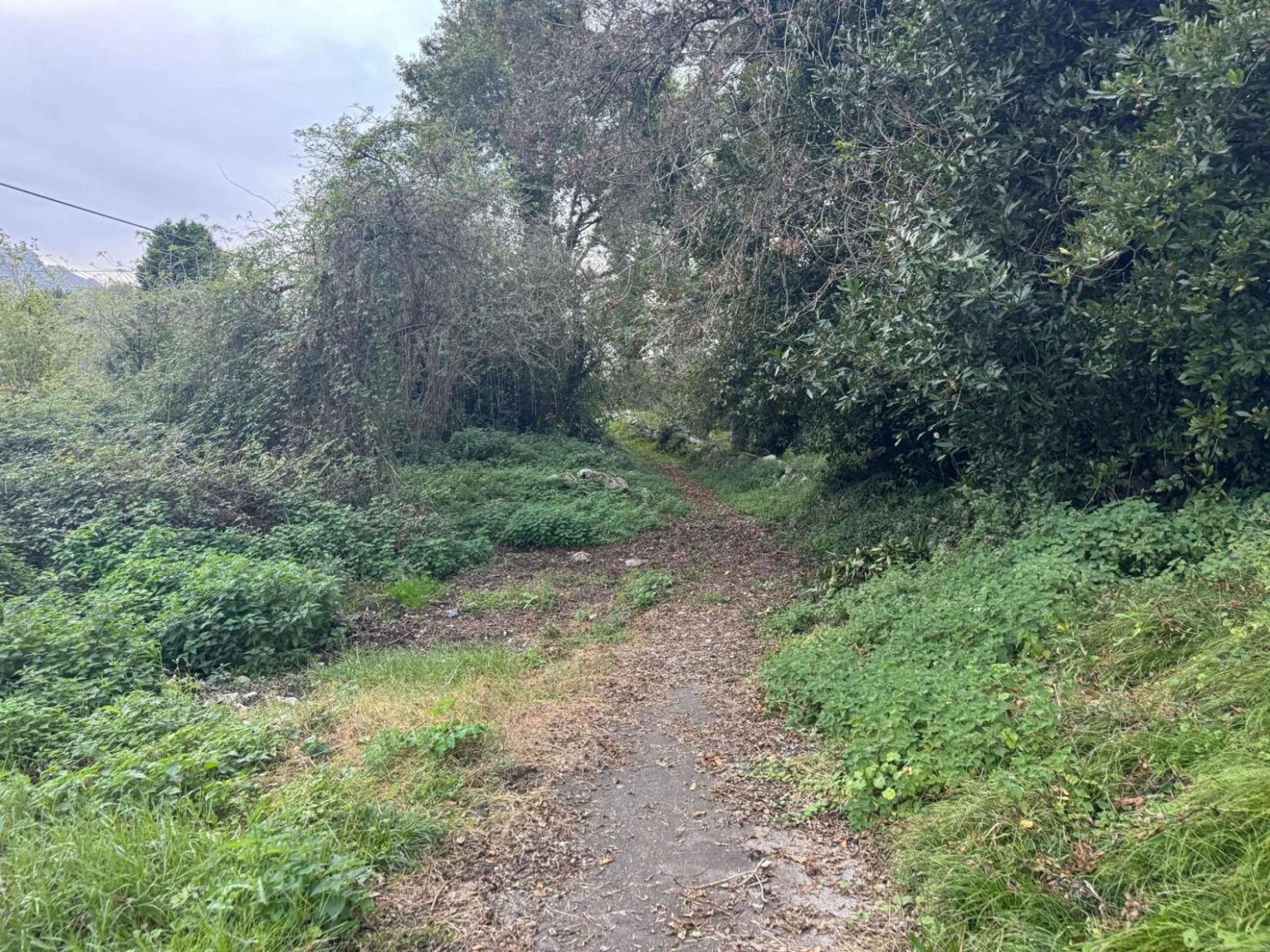 Unique opportunity in Llanes! Building plot for sale between the sea and the golf course