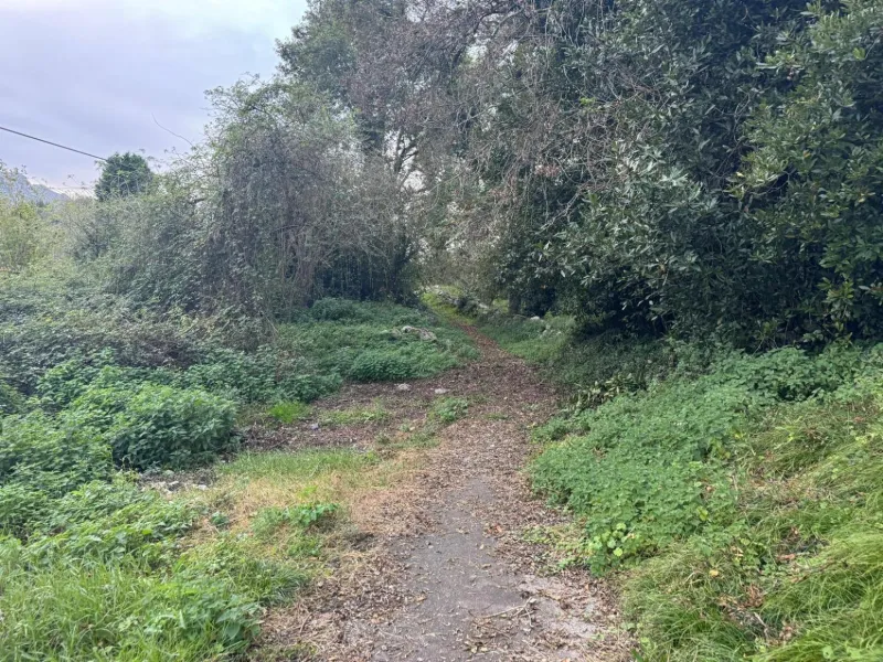 Unique opportunity in Llanes! Building plot for sale between the sea and the golf course