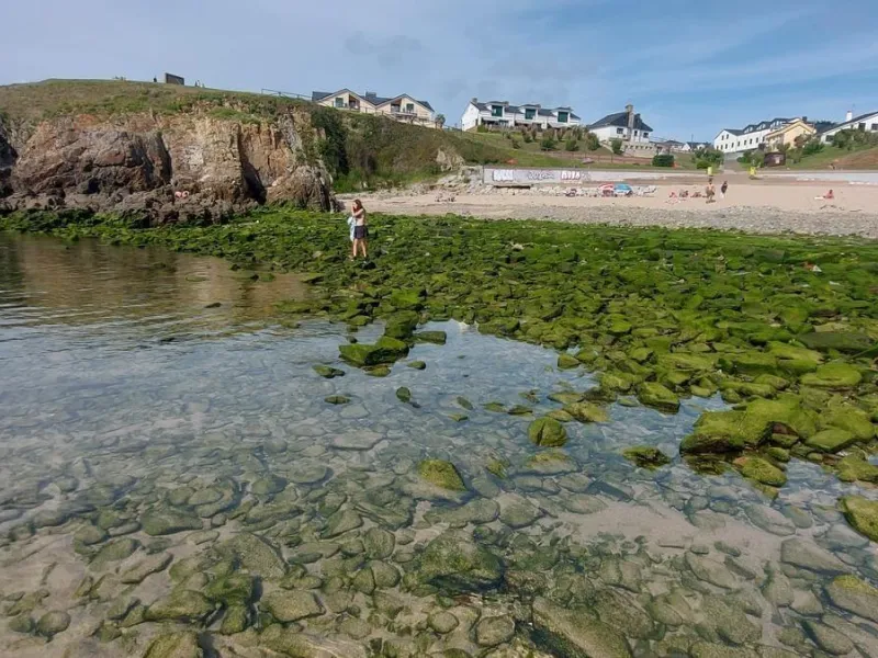 INVERSION PARA OBRA NUEVA A 100 METROS DE LA PLAYA MURALLÓN EN TAPIA DE CASARIEGO
