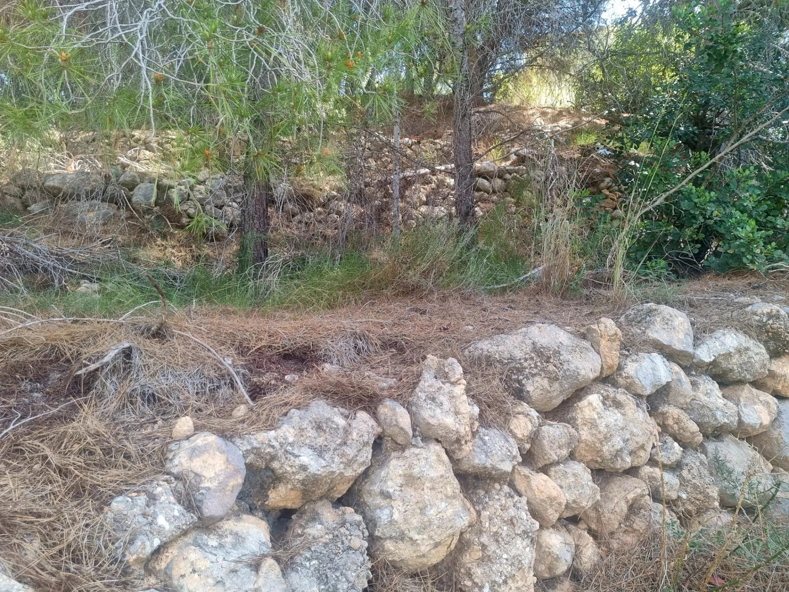 ÚLTIMA PARCELA EN EXCLUSIVA URBANIZACIÓN GALERA DE LAS PALMERAS