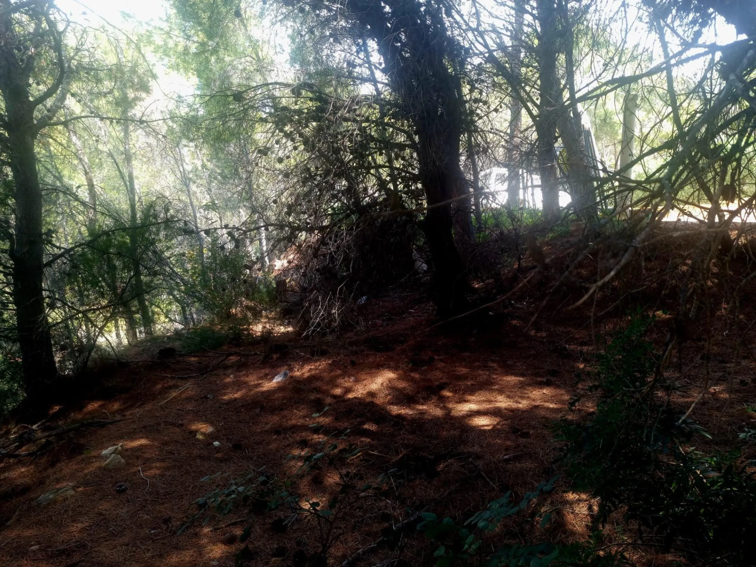 ÚLTIMA PARCELA EN EXCLUSIVA URBANIZACIÓN GALERA DE LAS PALMERAS