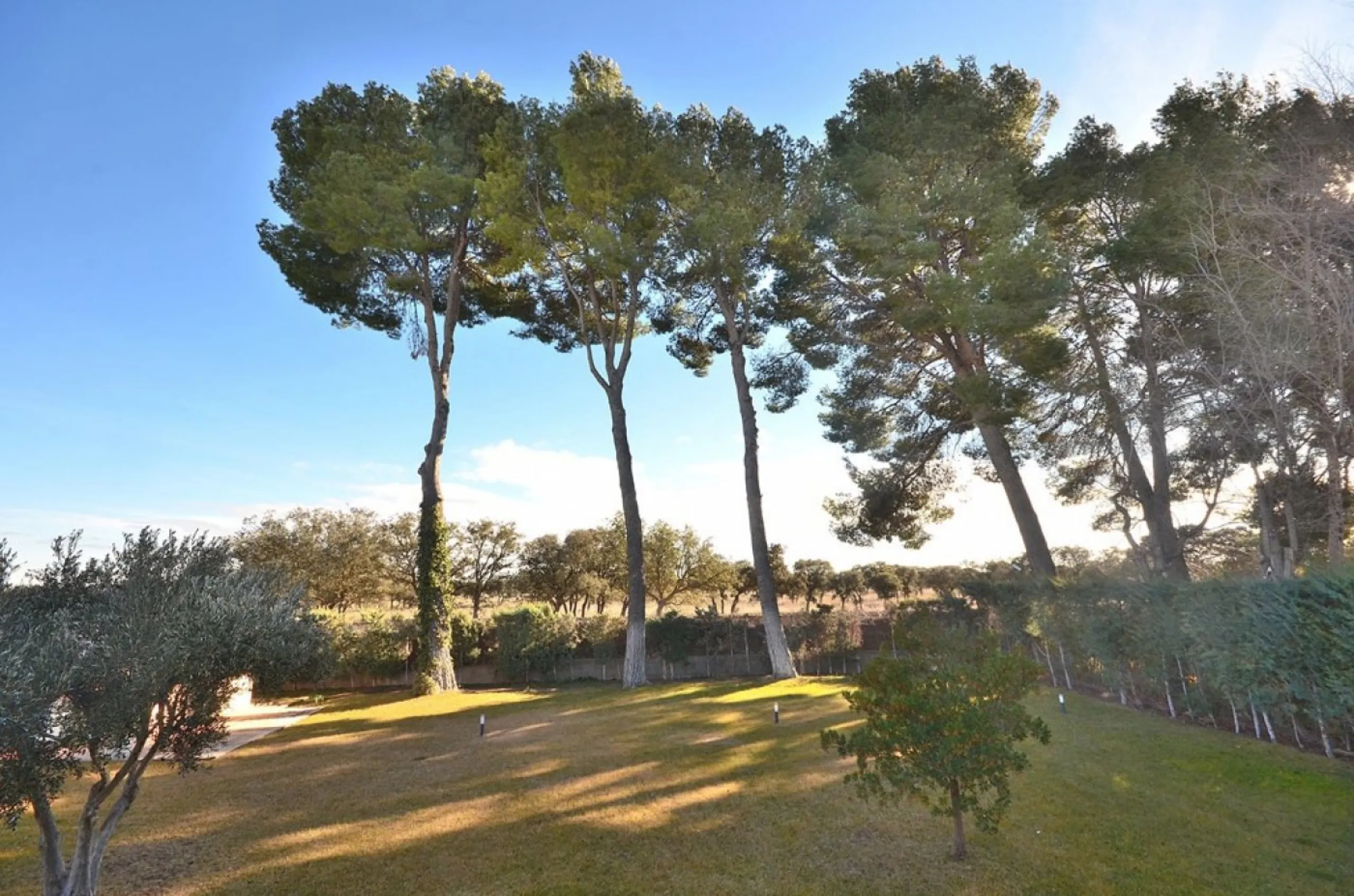 VILLA EN ALBACETE CON 1700 M2 DE PARCELA. 5 DORM. 5 BAÑOS.