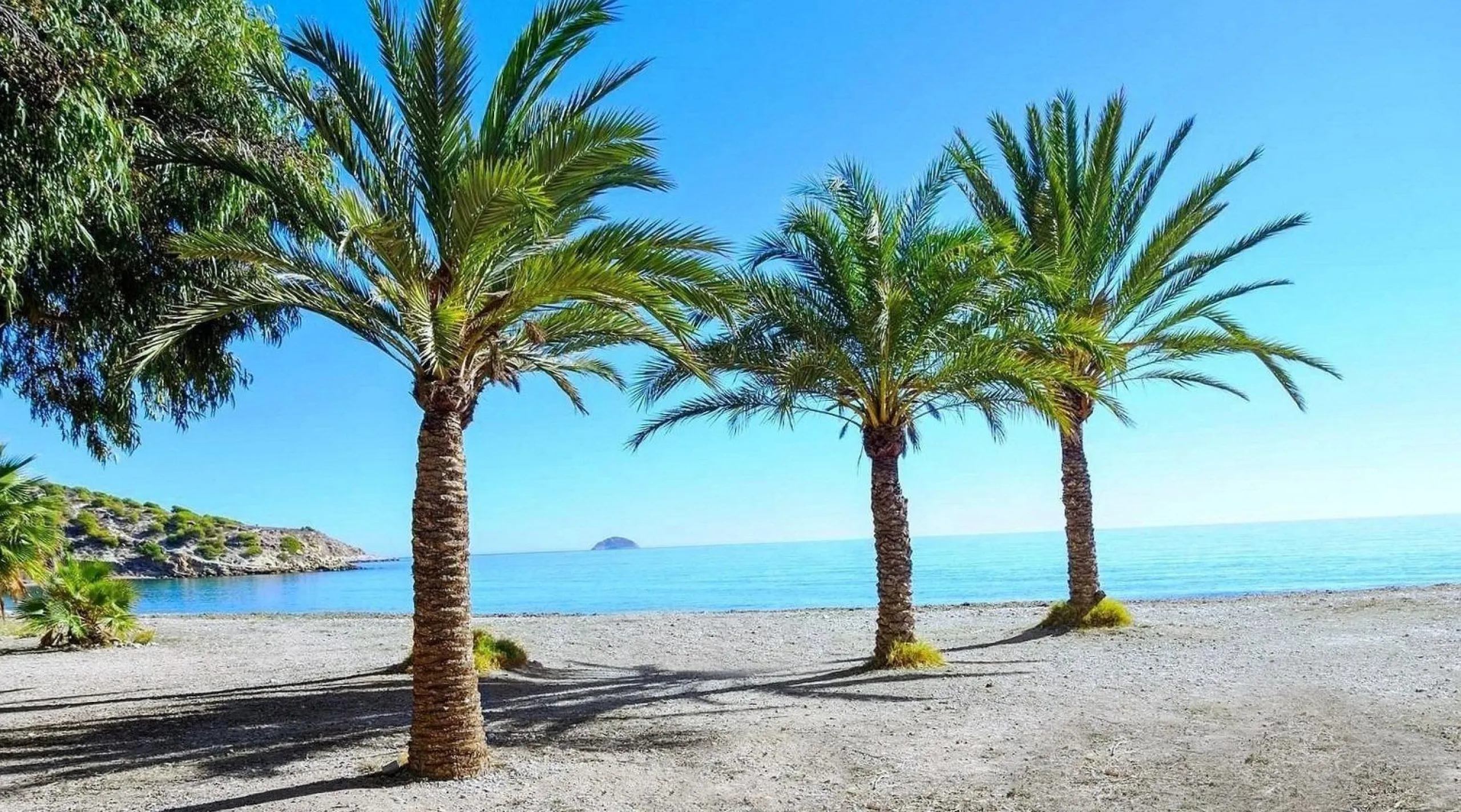 🌴 Luxury property by the sea!