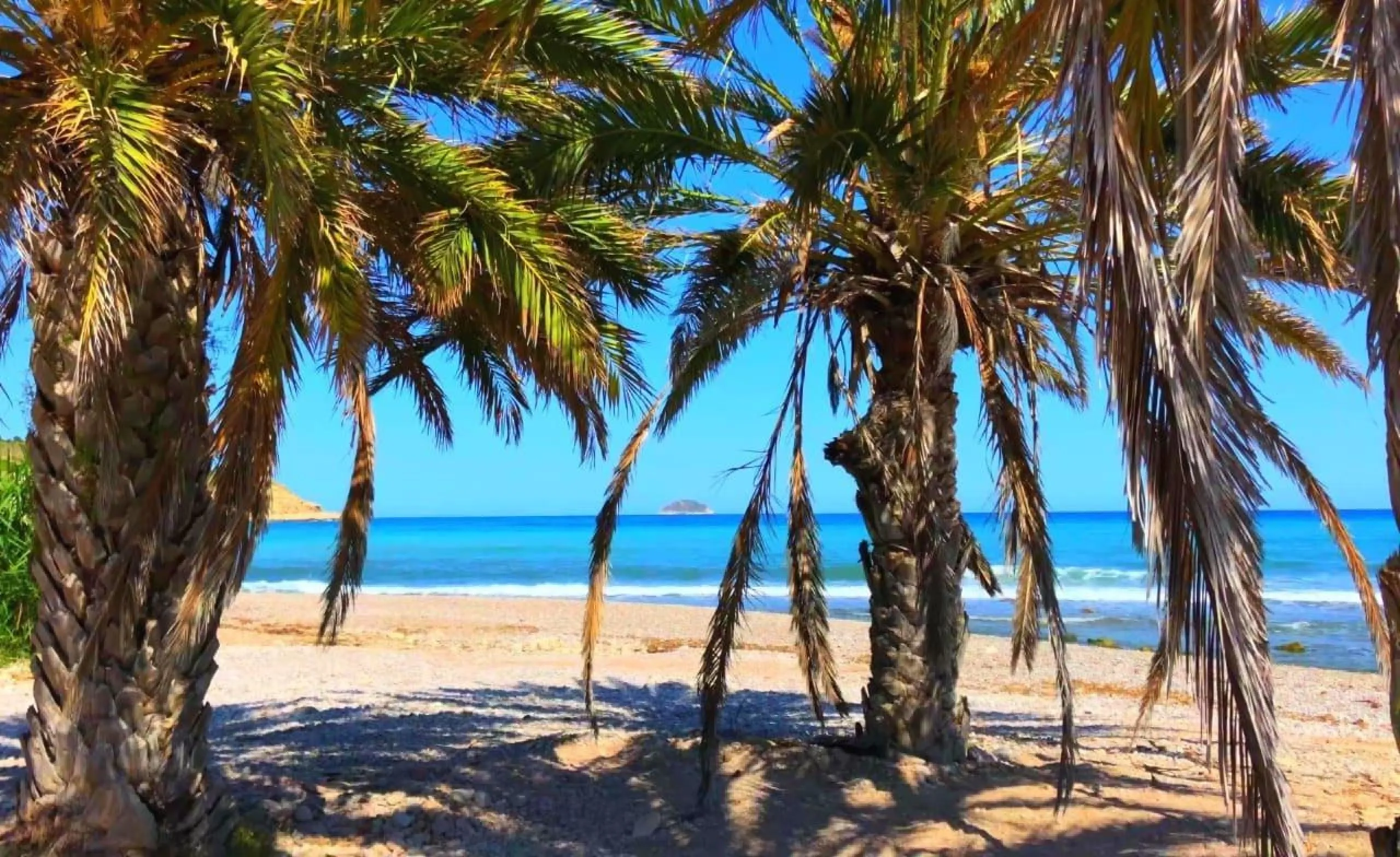 🌴 Luxury property by the sea!