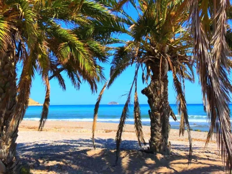 Modernos apartamentos nuevos en la orilla del mar Mediterráneo 🏖️