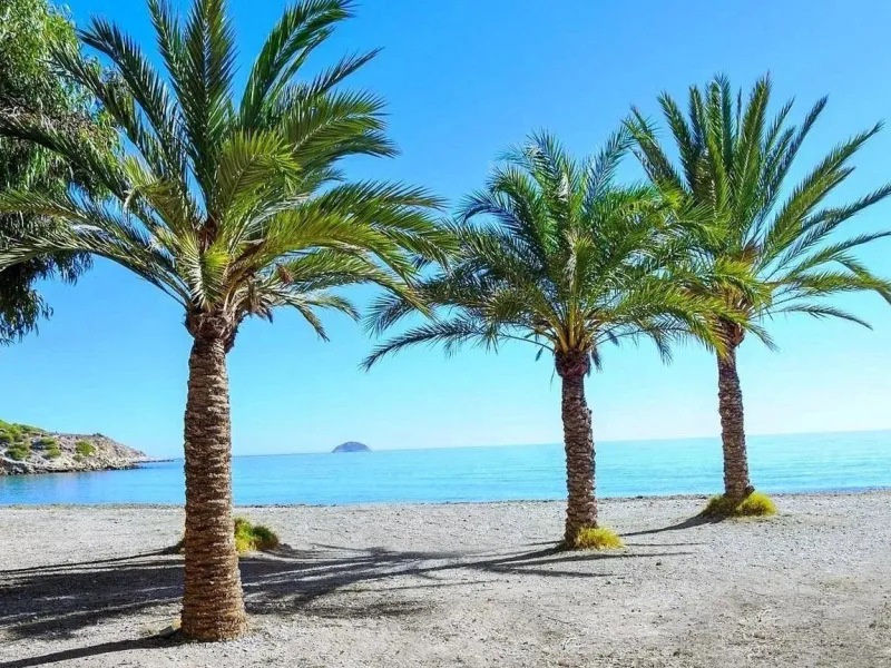Modernos apartamentos nuevos en la orilla del mar Mediterráneo 🏖️