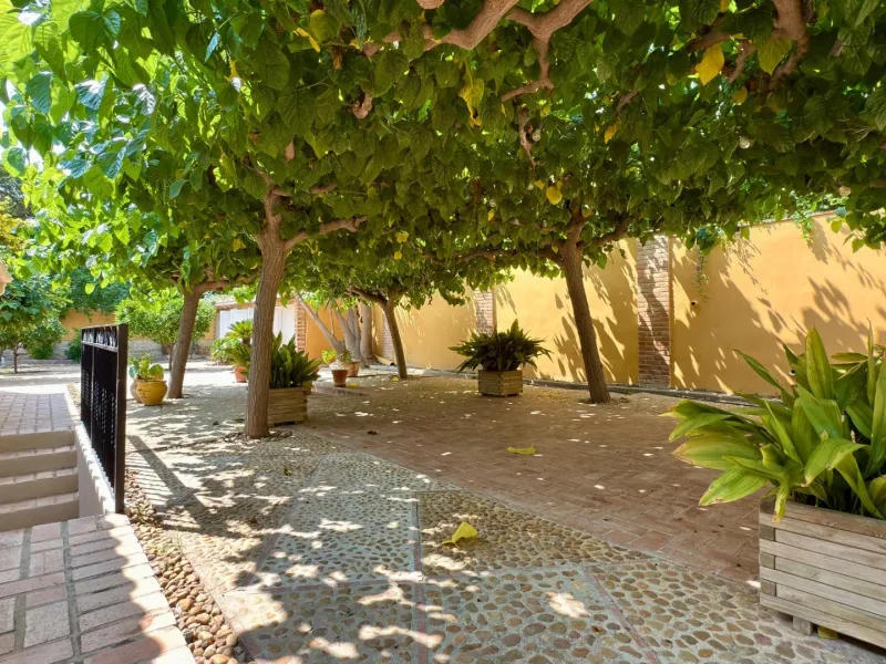 Exclusive Villa Surrounded by Nature in Alicante